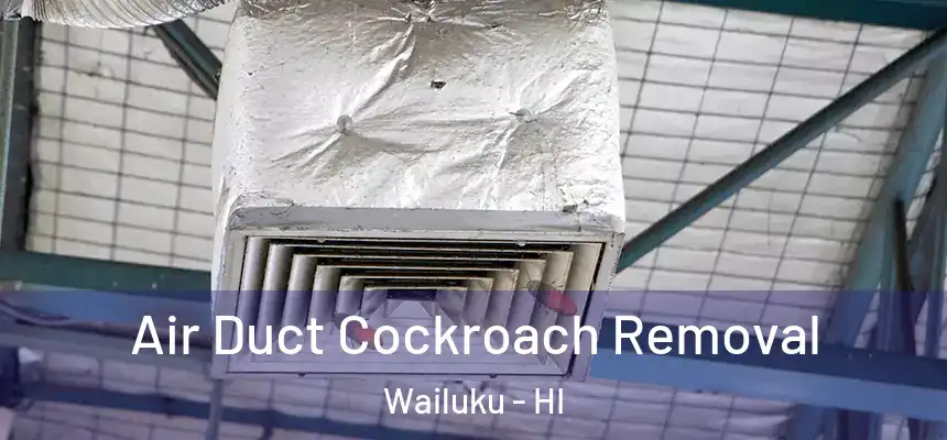 Air Duct Cockroach Removal Wailuku - HI