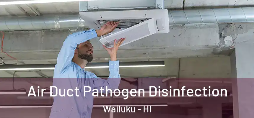 Air Duct Pathogen Disinfection Wailuku - HI