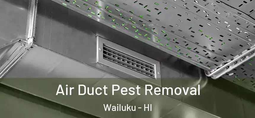  Air Duct Pest Removal Wailuku - HI