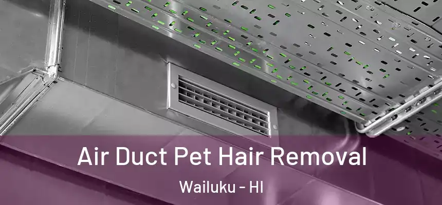  Air Duct Pet Hair Removal Wailuku - HI