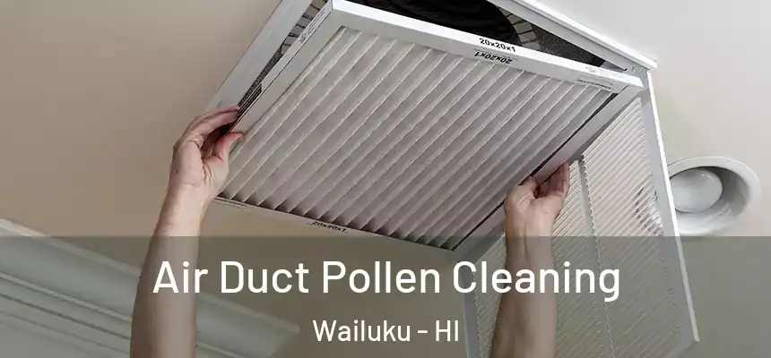  Air Duct Pollen Cleaning Wailuku - HI