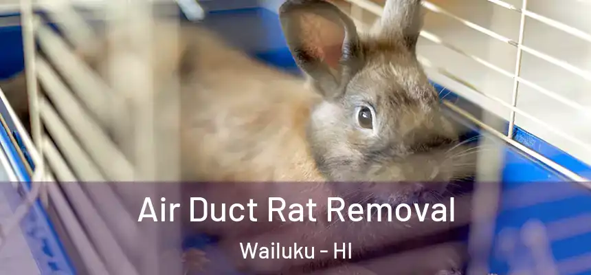 Air Duct Rat Removal Wailuku - HI