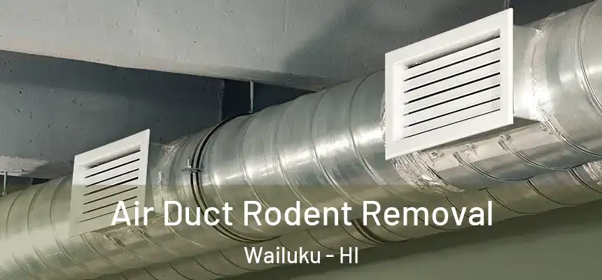 Air Duct Rodent Removal Wailuku - HI