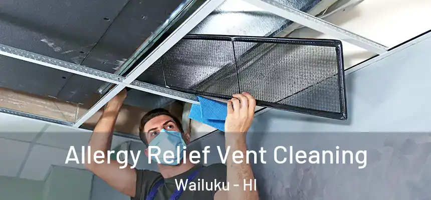 Allergy Relief Vent Cleaning Wailuku - HI