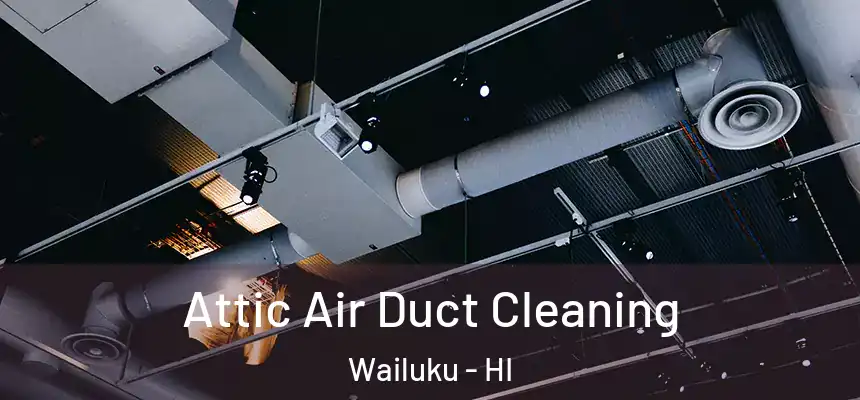 Attic Air Duct Cleaning Wailuku - HI