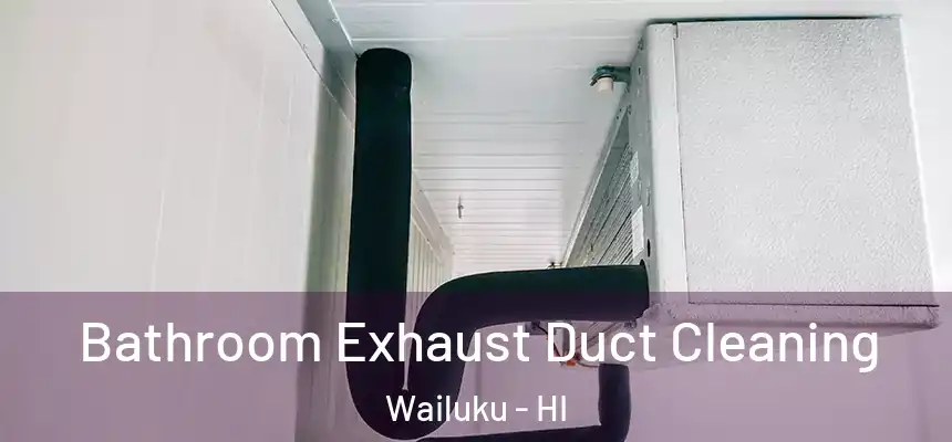  Bathroom Exhaust Duct Cleaning Wailuku - HI