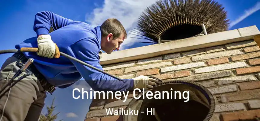  Chimney Cleaning Wailuku - HI