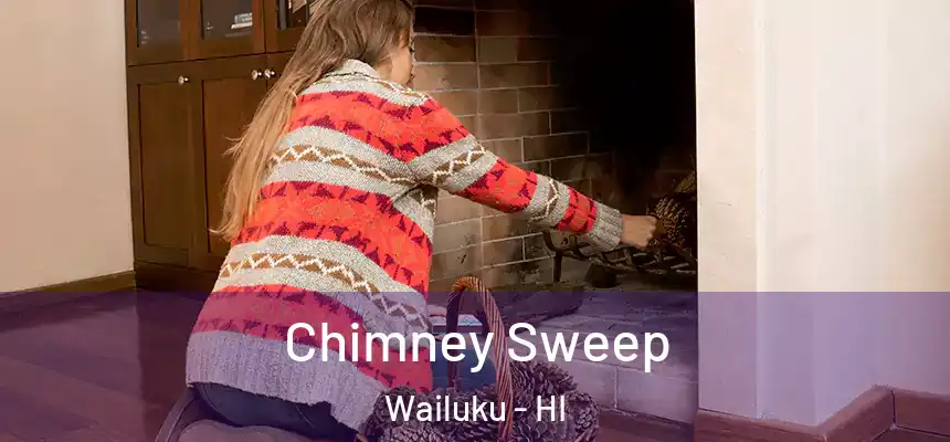 Chimney Sweep Wailuku - HI