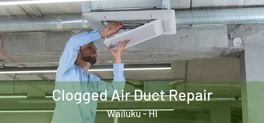  Clogged Air Duct Repair Wailuku - HI