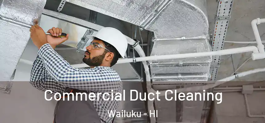  Commercial Duct Cleaning Wailuku - HI