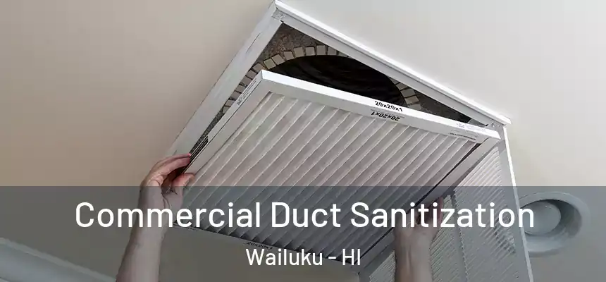  Commercial Duct Sanitization Wailuku - HI