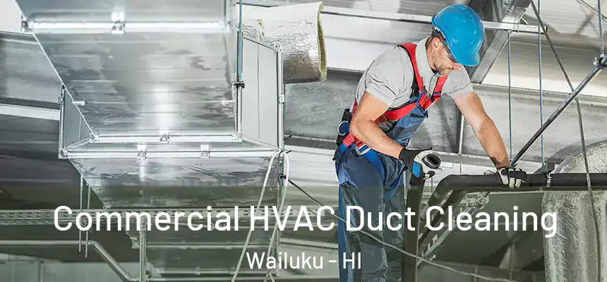  Commercial HVAC Duct Cleaning Wailuku - HI