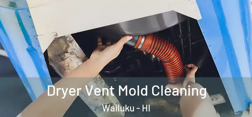 Dryer Vent Mold Cleaning Wailuku - HI