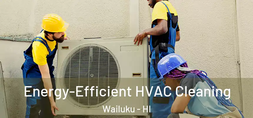 Energy-Efficient HVAC Cleaning Wailuku - HI