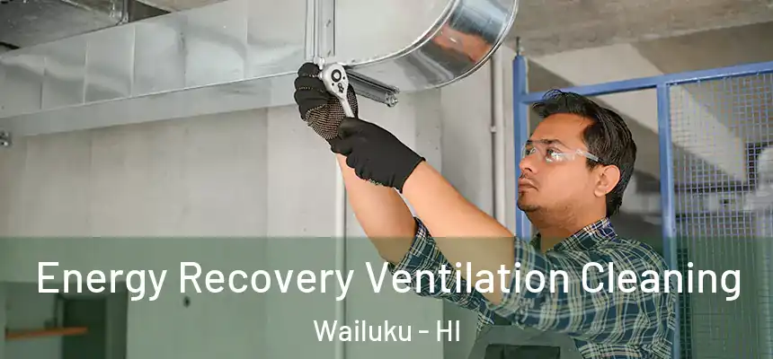  Energy Recovery Ventilation Cleaning Wailuku - HI