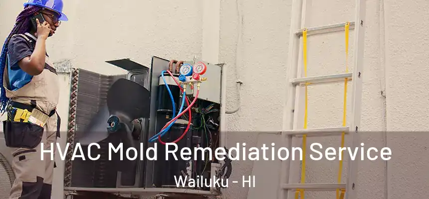 HVAC Mold Remediation Service Wailuku - HI