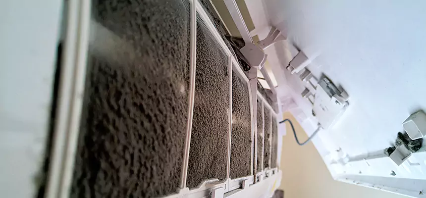 Preventive Air Duct Bacteria Removal in Wailuku