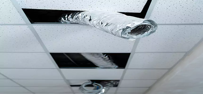 Our Air Duct Pet Hair Removal Services in Wailuku, HI