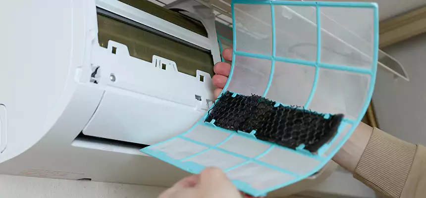 Gentle Ductwork Odor-Control Pet Dander Duct Cleaning in Wailuku, HI