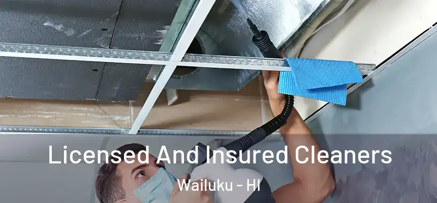 Licensed And Insured Cleaners Wailuku - HI