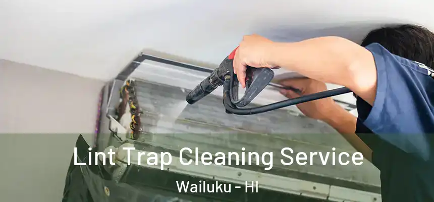  Lint Trap Cleaning Service Wailuku - HI