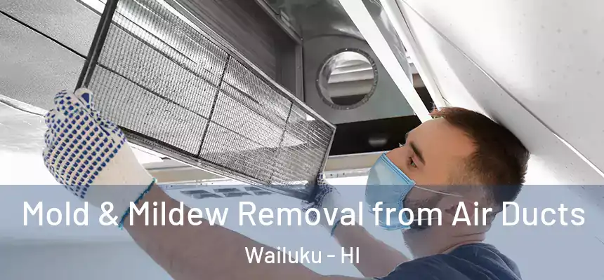  Mold & Mildew Removal from Air Ducts Wailuku - HI