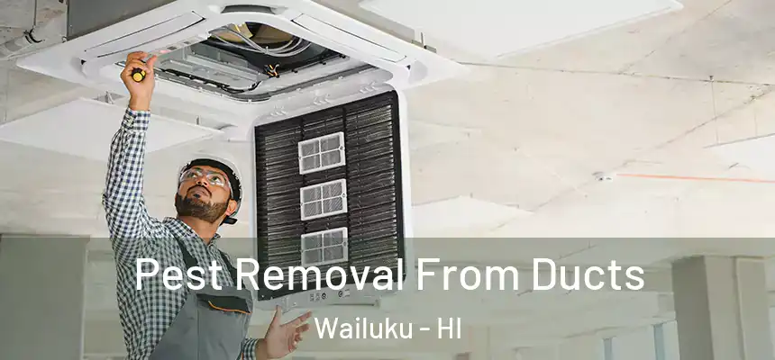 Pest Removal From Ducts Wailuku - HI