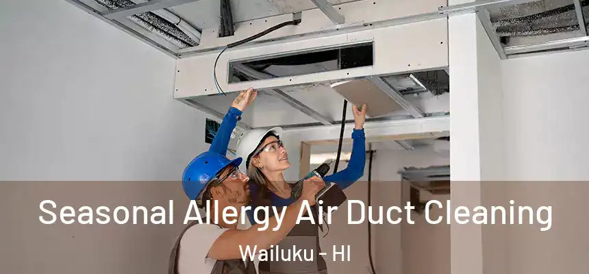  Seasonal Allergy Air Duct Cleaning Wailuku - HI