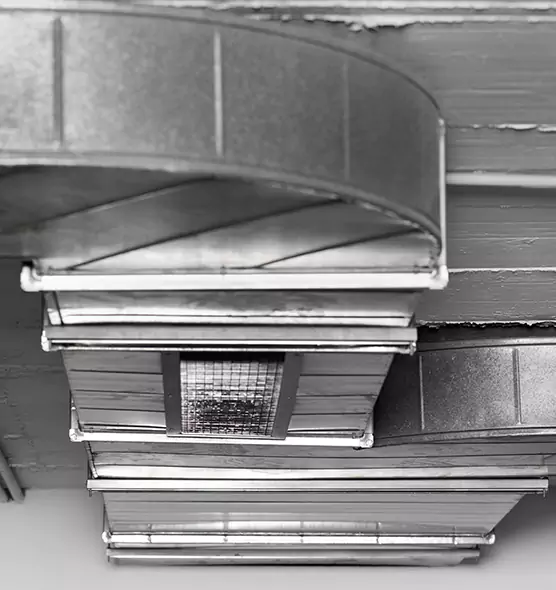 Professional Air Duct Pet Hair Removal in Wailuku, HI