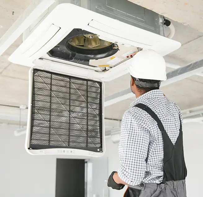 Why Homeowners & Businesses Trust Us in Wailuku, HI?