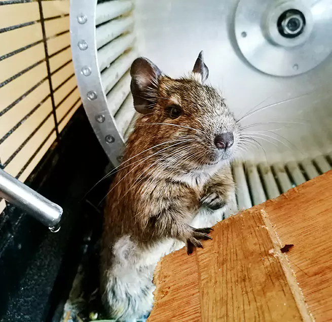 Why Homeowners & Businesses Trust Us Wailuku, HI