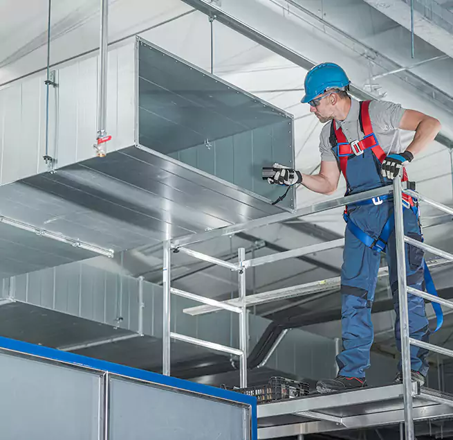 Why Homeowners & Businesses Trust Us in Wailuku, HI?