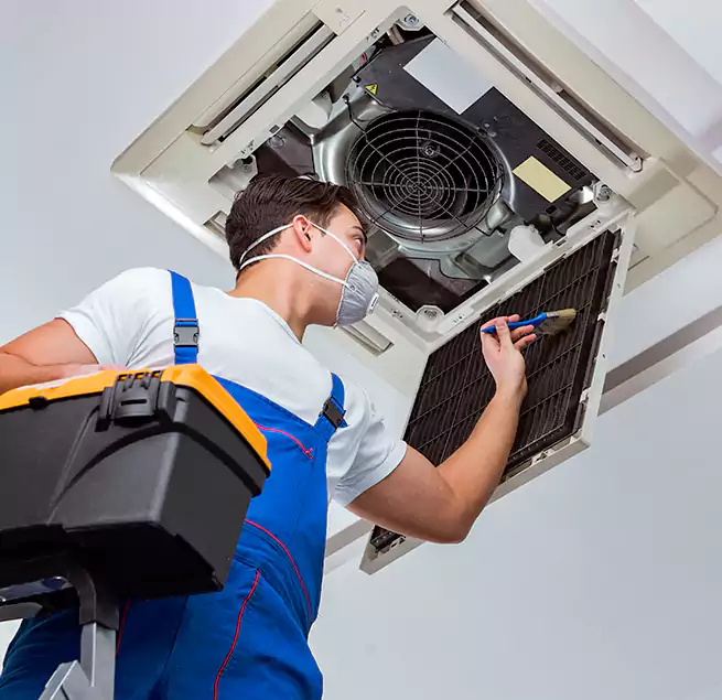 Why Homeowners & Businesses Trust Us in Wailuku, HI