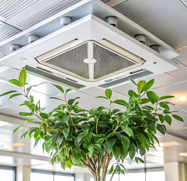 Why Homeowners & Businesses Trust Us in Wailuku, HI