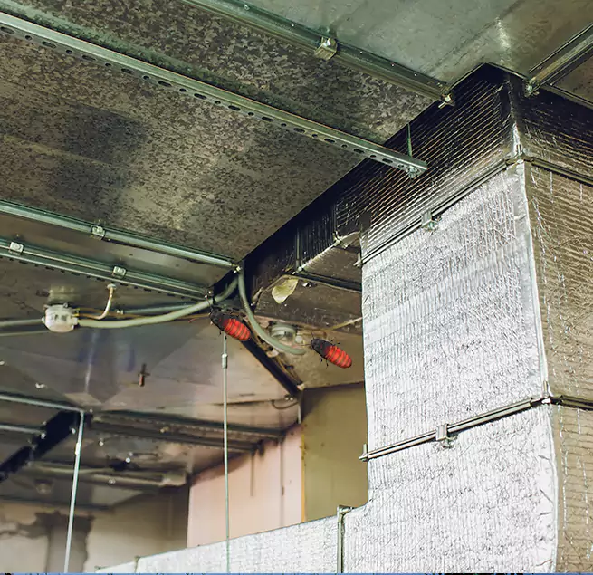 Why Homeowners & Businesses Trust Us Wailuku, HI?