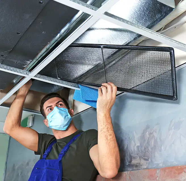 Why Homeowners & Businesses Trust Us in Wailuku, HI?