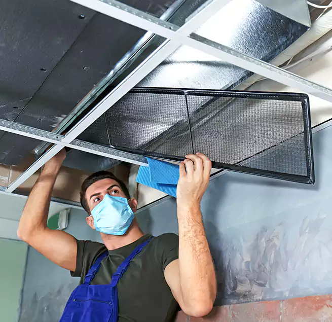 Why Homeowners Businesses Trust Us in Wailuku, HI